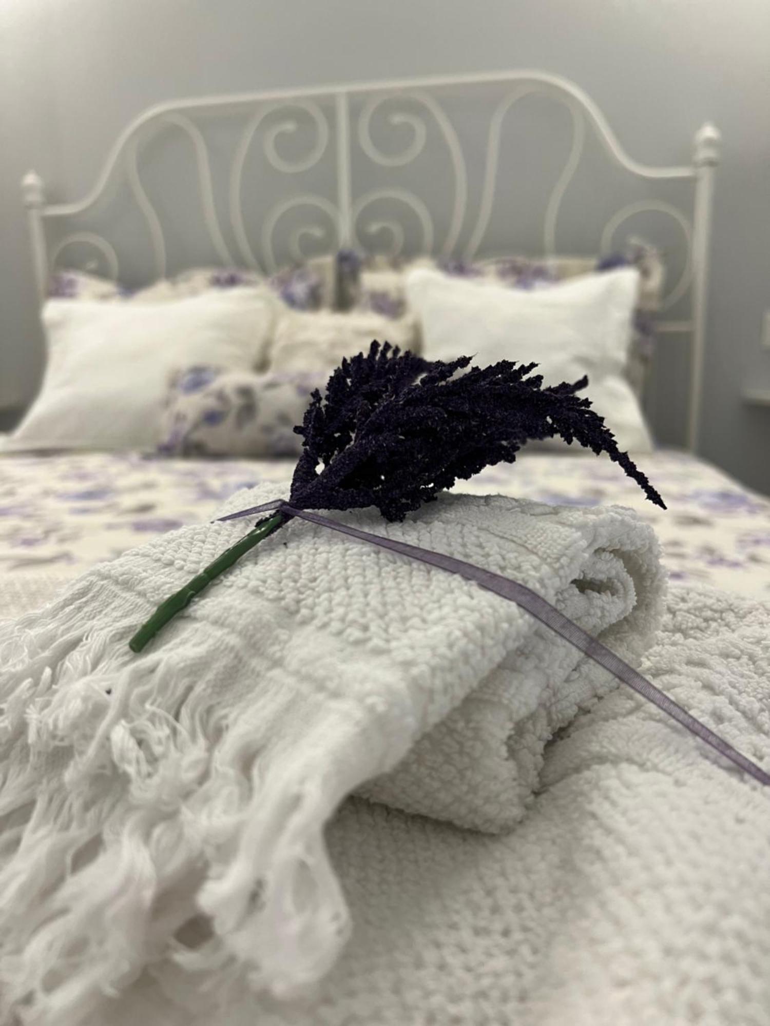 B&B Puglia D'Amare Lizzano  Quarto foto